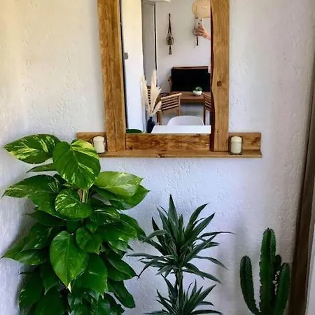 Apartment Calme Et Chaleureux Six-Fours-les-Plages